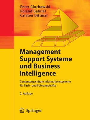 cover image of Management Support Systeme und Business Intelligence